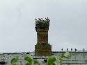 DSCF0053.htm
