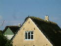 DSCF0080.htm