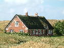 DSCF0084.htm