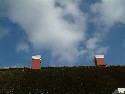 DSCF0094.htm