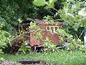DSCF0102.htm