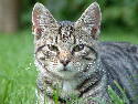 DSCF0007.htm