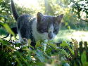 DSCF0008.htm