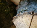 DSCF0015.htm