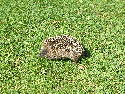 DSCF0025.htm