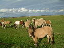 DSCF0032.htm
