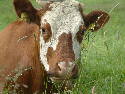 DSCF0038.htm