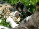 DSCF0059.htm