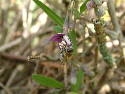 DSCF0075.htm