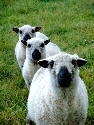 DSCF0089.htm