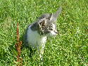 DSCF0150.htm