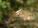 DSCF0550.htm