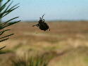 DSCF0577.htm
