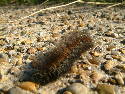 DSCF0584.htm