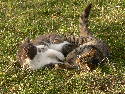 P1060001.htm
