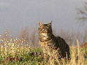 P1060011.htm