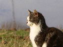 P1060015.htm