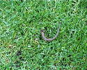 PIC00027.htm