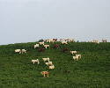 PIC00043.htm