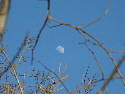 03.2005 088.htm
