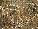 03.2005 122.htm