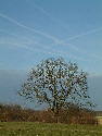03.2005 124.htm