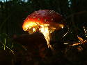 DSCF0003.htm