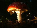 DSCF0004.htm