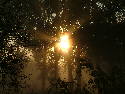 DSCF00044.htm