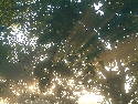 DSCF0005.htm