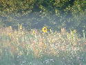 DSCF0007.htm