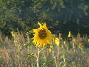 DSCF0008.htm