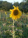 DSCF0010.htm