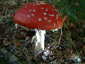 DSCF0012.htm