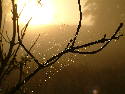 DSCF00122.htm