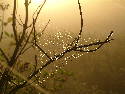 DSCF0013.htm