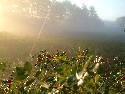 DSCF0016.htm