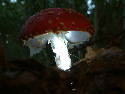 DSCF0017.htm