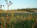 DSCF0019.htm