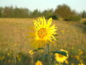 DSCF0021.htm