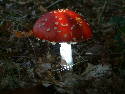 DSCF0023.htm