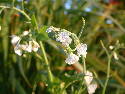 DSCF00233.htm