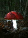 DSCF0024.htm