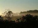 DSCF0026.htm