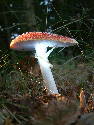 DSCF0029.htm