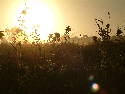 DSCF00299.htm