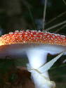 DSCF0031.htm