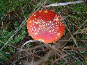 DSCF0033.htm