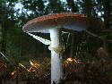 DSCF00357.htm