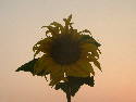 DSCF0037.htm